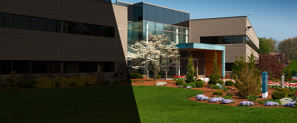 Clarkfield Landscapers
