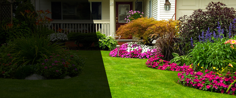 Clarkfield Landscapers